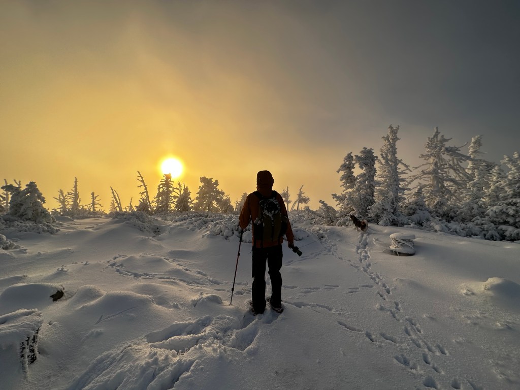 The Ultimate Guide For Becoming A Successful&nbsp;Entrepreneur