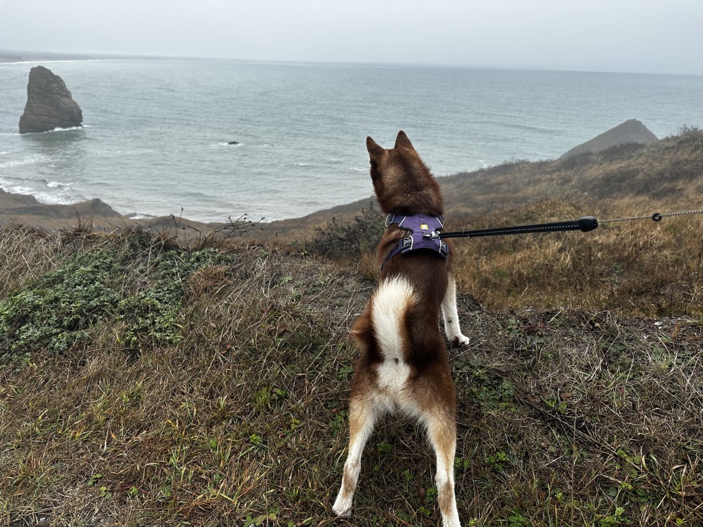 Port Orford: A Hidden Gem on the Oregon&nbsp;Coast